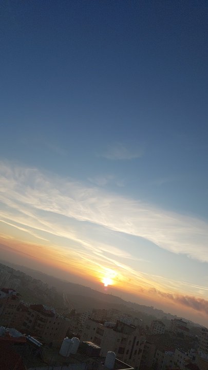 مشاركاتي في أنت الراصد