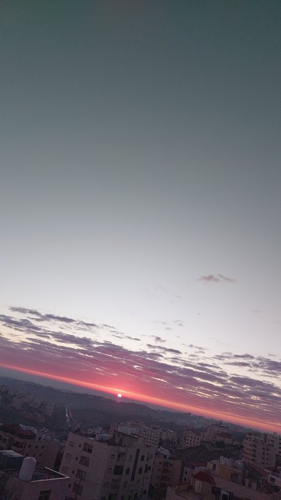 مشاركاتي في أنت الراصد