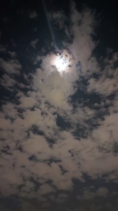 My Crowdsourcing Posts