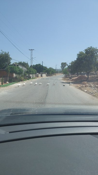 My Crowdsourcing Posts