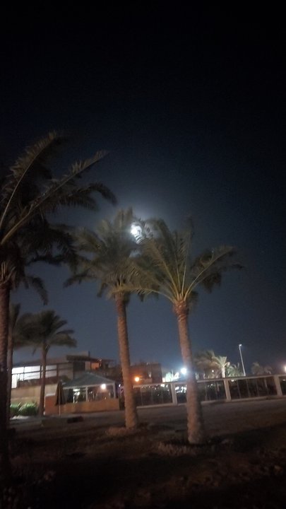 My Crowdsourcing Posts