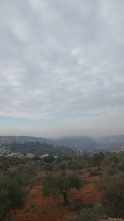 مشاركاتي في أنت الراصد