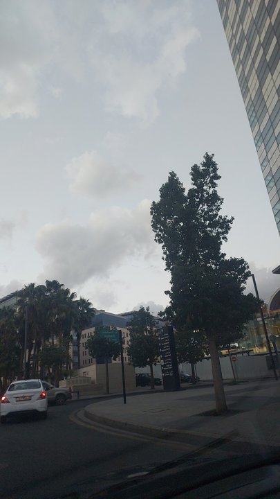 مشاركاتي في أنت الراصد