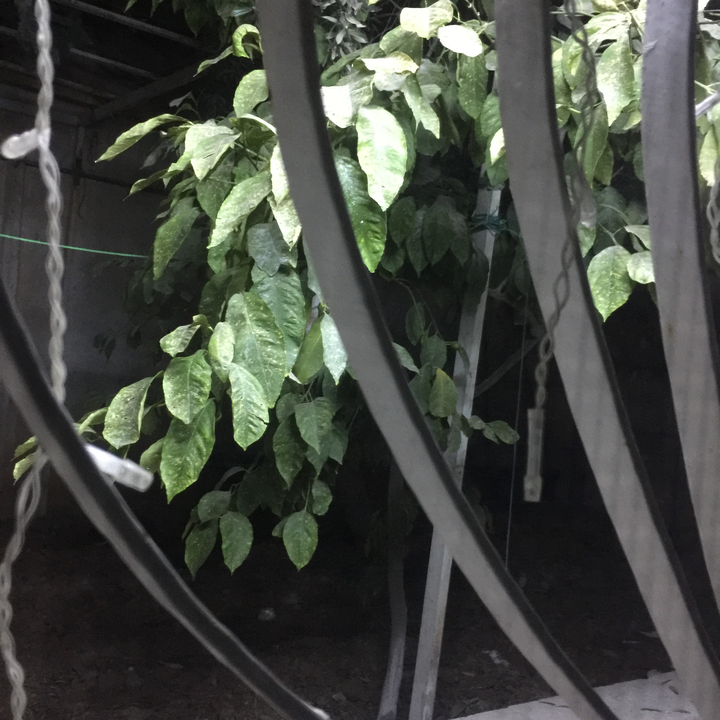 My Crowdsourcing Posts