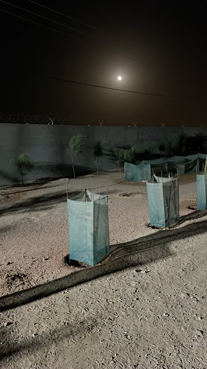 مشاركاتي في أنت الراصد