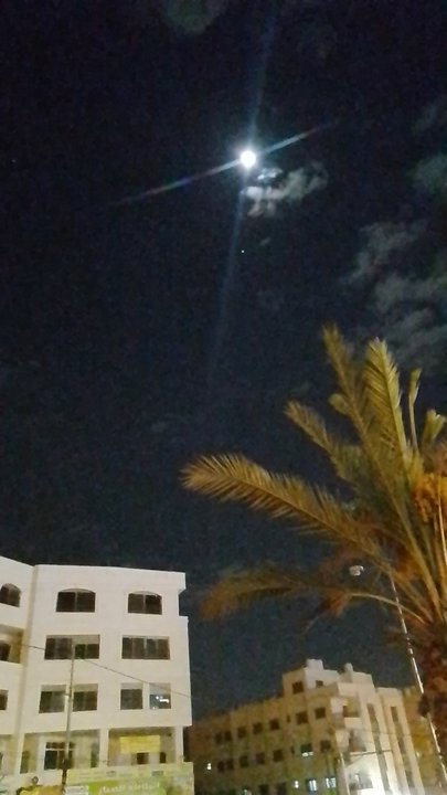 مشاركاتي في أنت الراصد