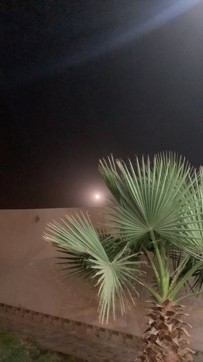 مشاركاتي في أنت الراصد