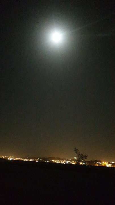 مشاركاتي في أنت الراصد