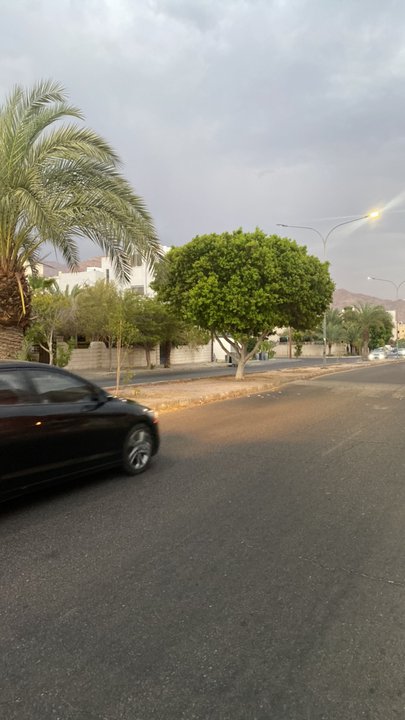 مشاركاتي في أنت الراصد