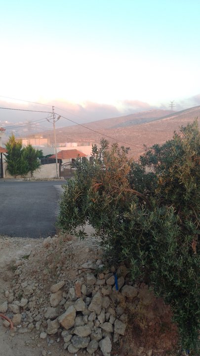 مشاركاتي في أنت الراصد