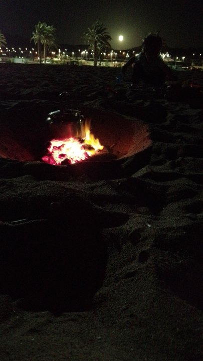 مشاركاتي في أنت الراصد