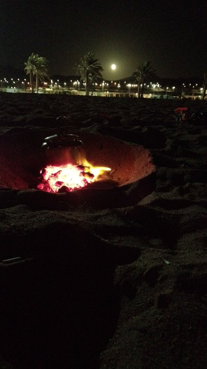 مشاركاتي في أنت الراصد