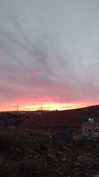 مشاركاتي في أنت الراصد