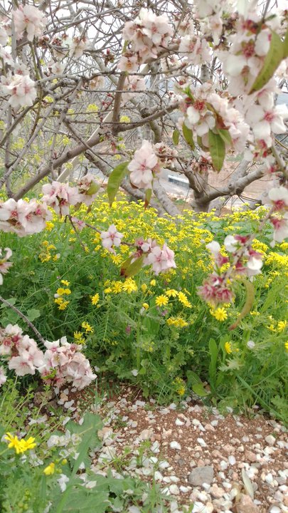 My Crowdsourcing Posts