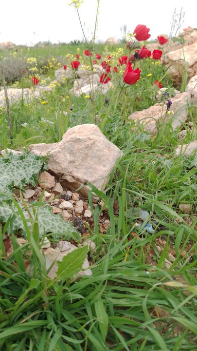 My Crowdsourcing Posts