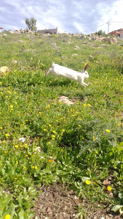 My Crowdsourcing Posts