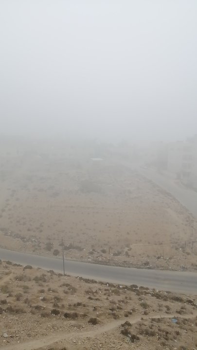 مشاركاتي في أنت الراصد