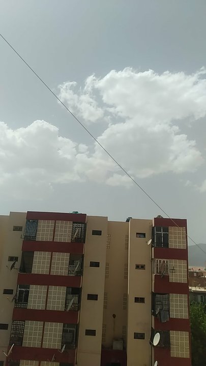 مشاركاتي في أنت الراصد