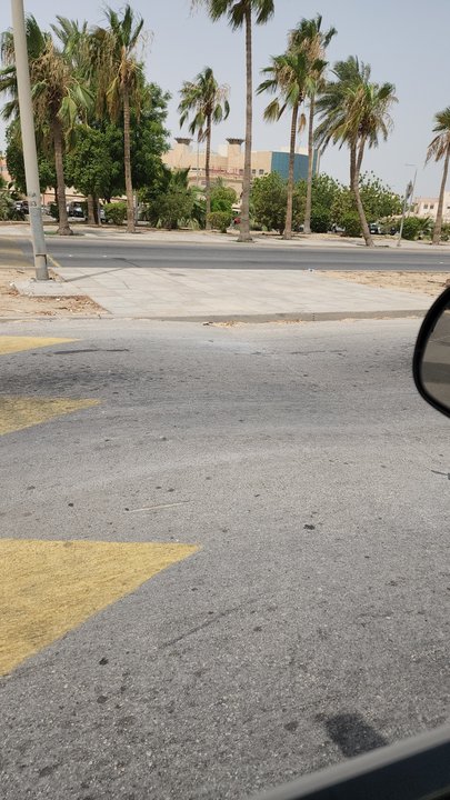 مشاركاتي في أنت الراصد