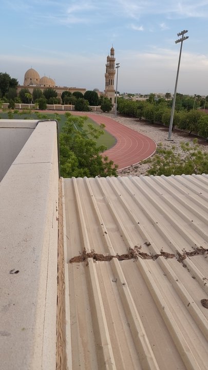 مشاركاتي في أنت الراصد