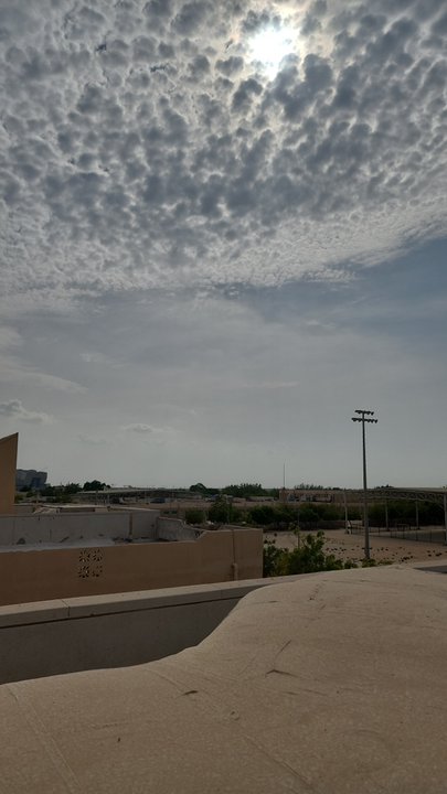 مشاركاتي في أنت الراصد