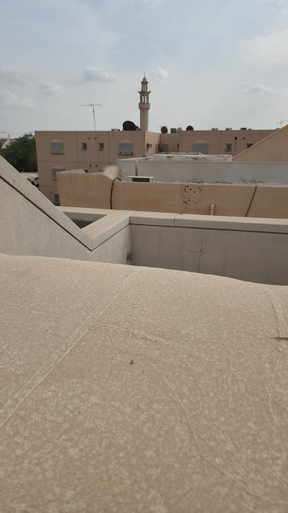 مشاركاتي في أنت الراصد