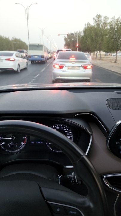 مشاركاتي في أنت الراصد