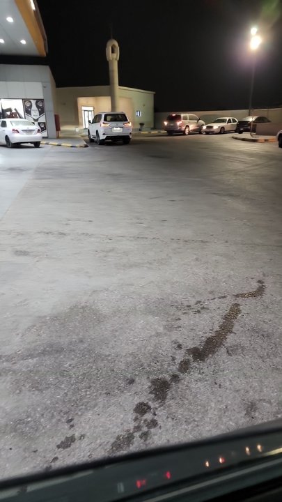 مشاركاتي في أنت الراصد