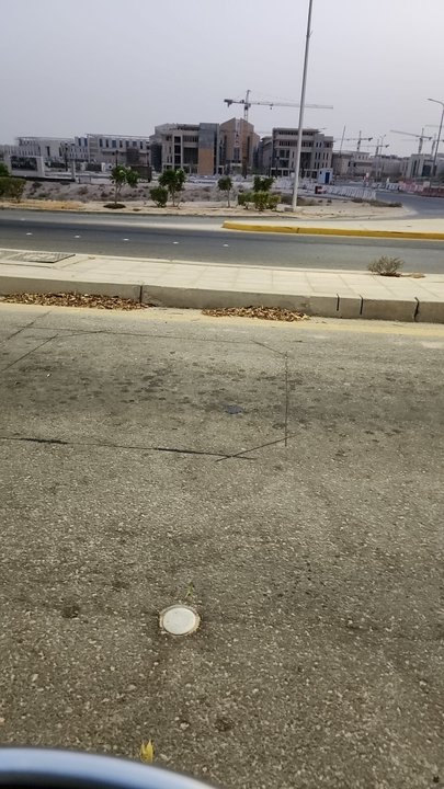 مشاركاتي في أنت الراصد