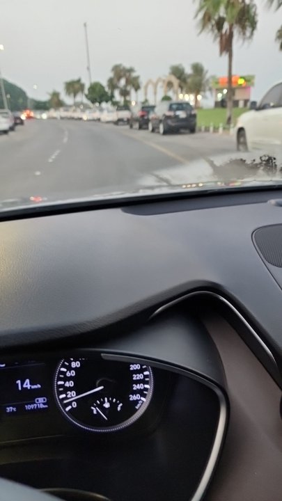 مشاركاتي في أنت الراصد