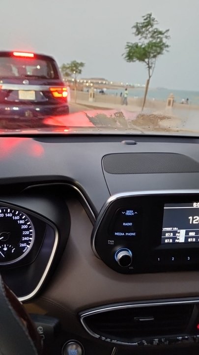 مشاركاتي في أنت الراصد