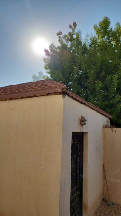 مشاركاتي في أنت الراصد