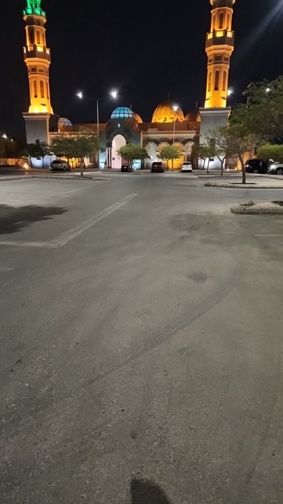 مشاركاتي في أنت الراصد