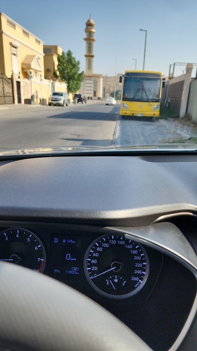 مشاركاتي في أنت الراصد