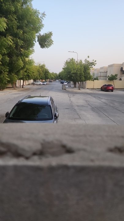 مشاركاتي في أنت الراصد