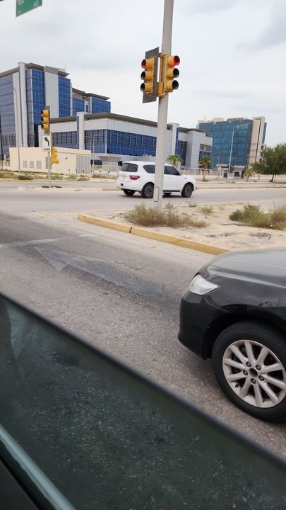 مشاركاتي في أنت الراصد