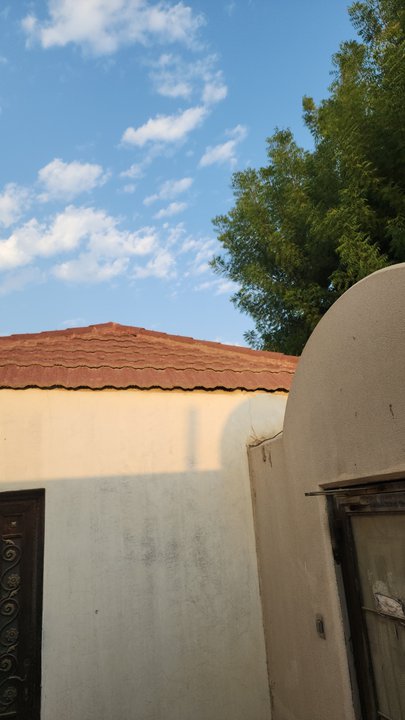 مشاركاتي في أنت الراصد