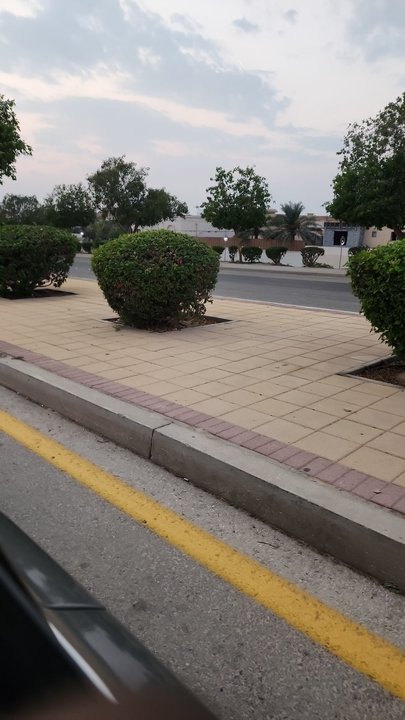 مشاركاتي في أنت الراصد