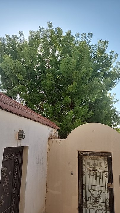 My Crowdsourcing Posts