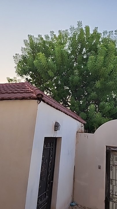 My Crowdsourcing Posts