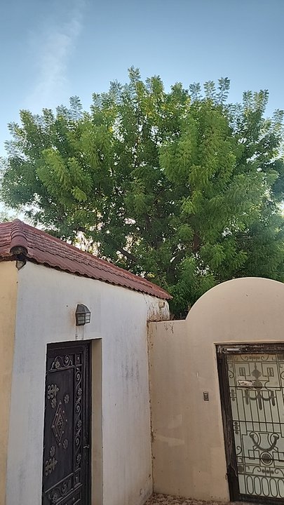 My Crowdsourcing Posts