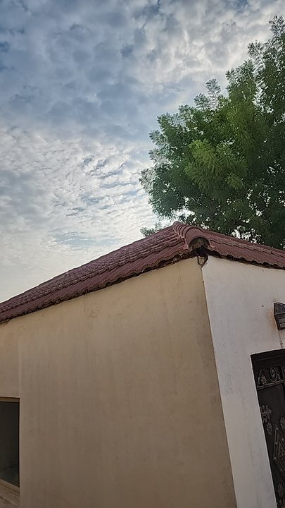 My Crowdsourcing Posts