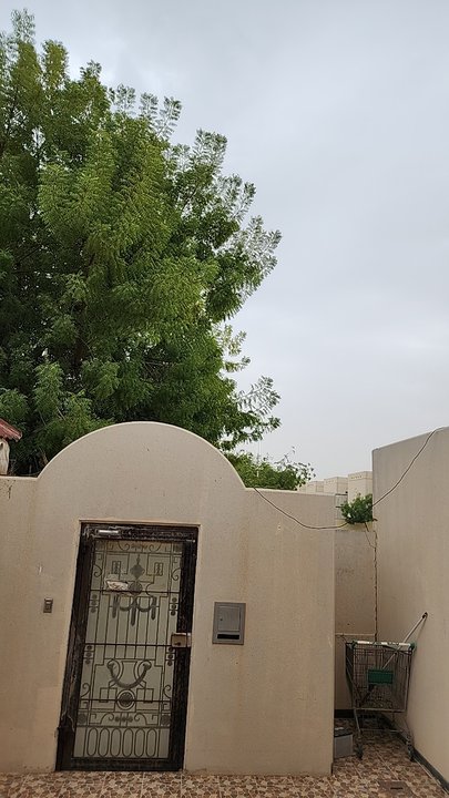 My Crowdsourcing Posts