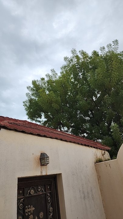 My Crowdsourcing Posts