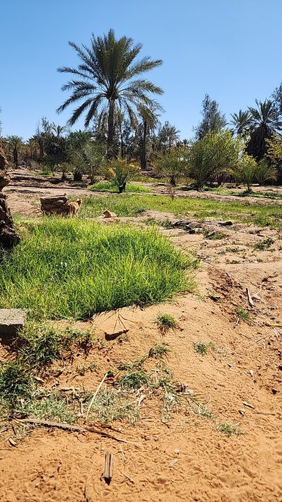 My Crowdsourcing Posts