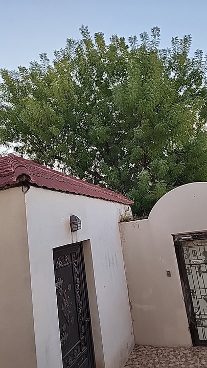 My Crowdsourcing Posts