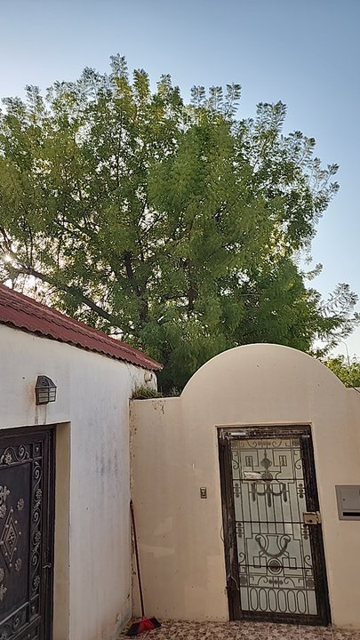 My Crowdsourcing Posts