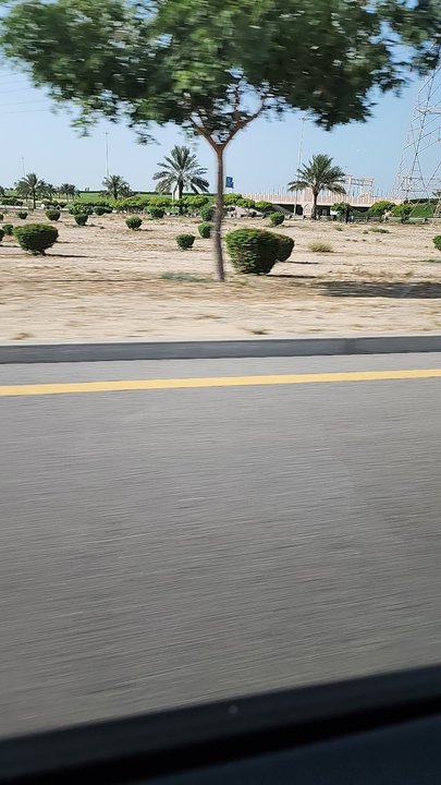 Mes publications Crowdsourcing