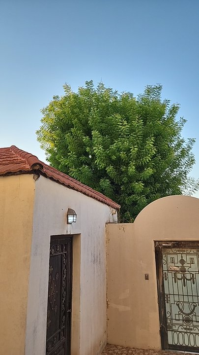 My Crowdsourcing Posts