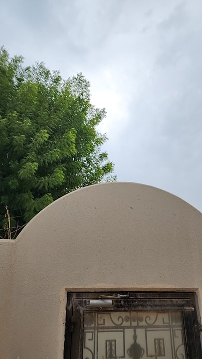 My Crowdsourcing Posts